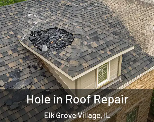 Hole in Roof Repair Elk Grove Village, IL