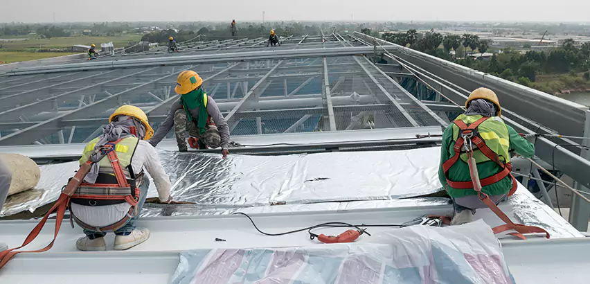 Professional Roof Waterproofing Services in Elk Grove Village, IL