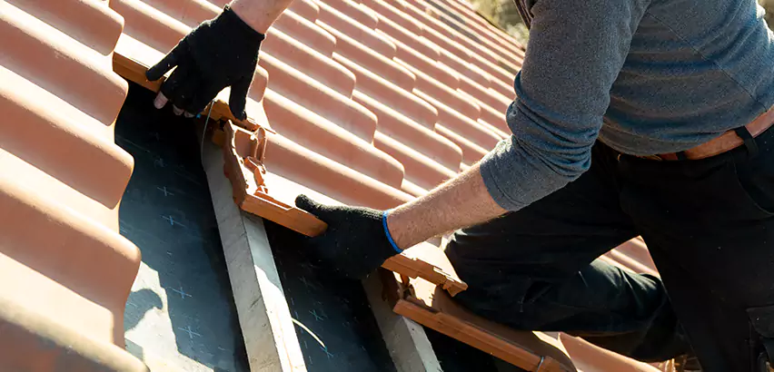 Professional Tile Roof Restoration Services in Elk Grove Village, IL