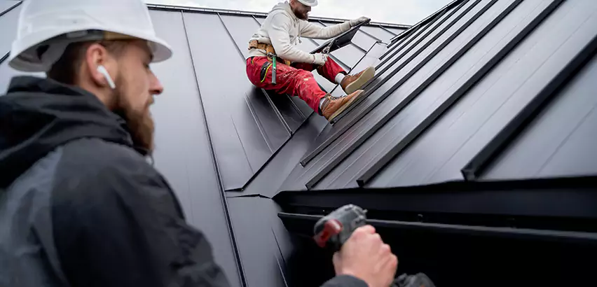Roof and Gutter Replacement in Elk Grove Village