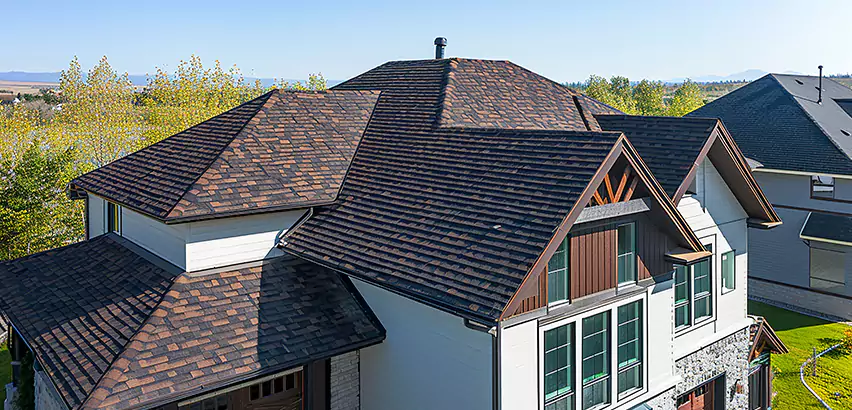 Residential Shingle Roofing in Elk Grove Village