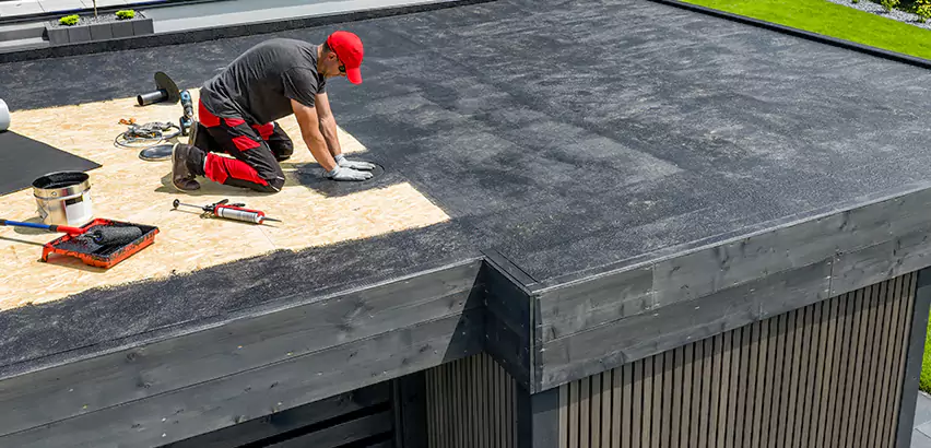 Professional TPO Roofing Services in Elk Grove Village, IL