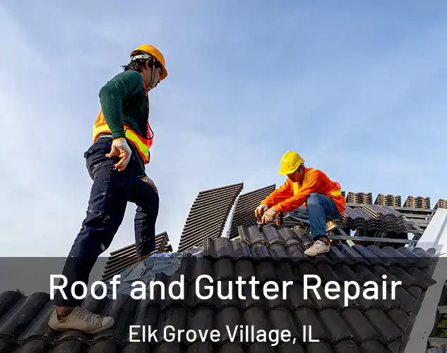  Roof and Gutter Repair Elk Grove Village, IL