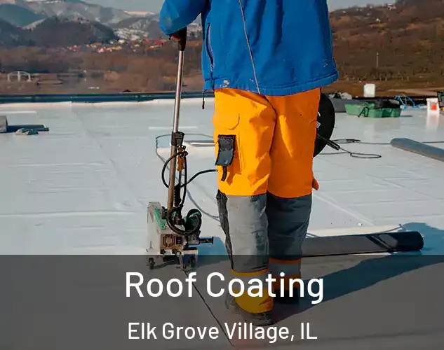  Roof Coating Elk Grove Village, IL