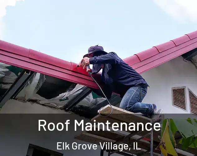  Roof Maintenance Elk Grove Village, IL