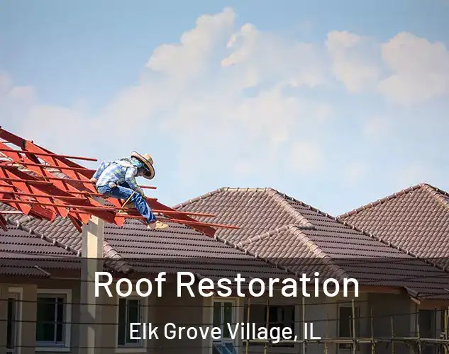 Roof Restoration Elk Grove Village, IL