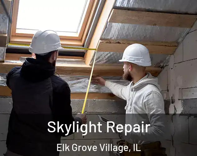  Skylight Repair Elk Grove Village, IL