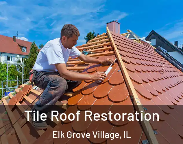  Tile Roof Restoration Elk Grove Village, IL
